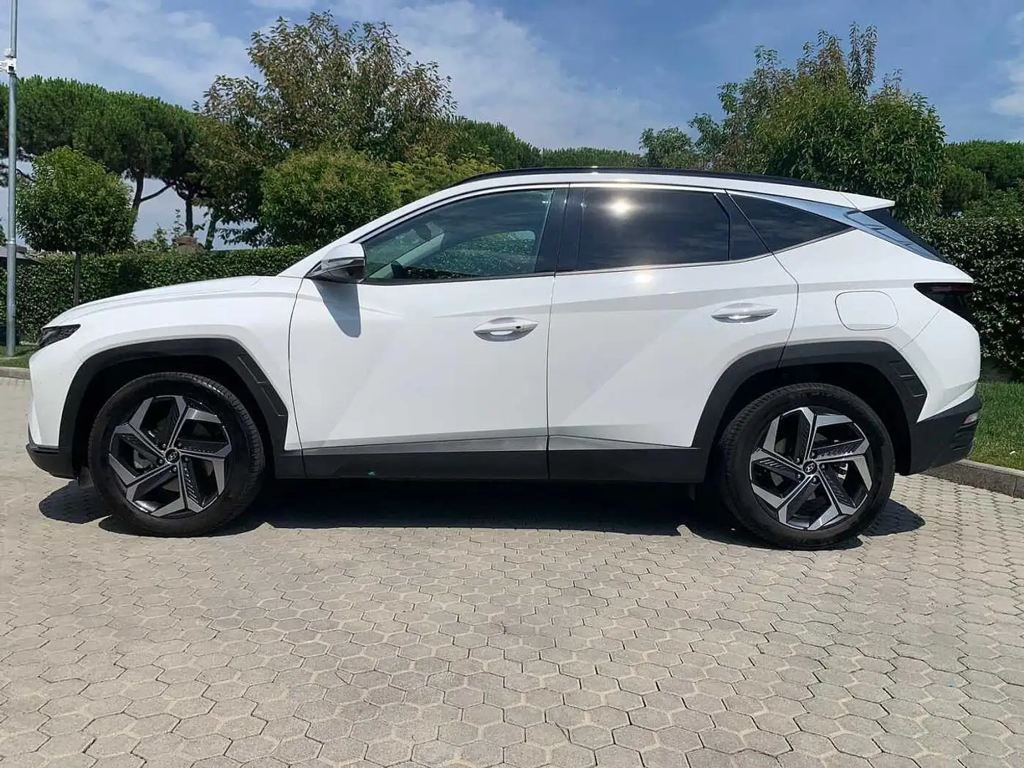 Hyundai TUCSON 3ª serie 1.6 HEV 4WD aut. Exellence Bianco - 2