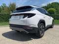 Hyundai TUCSON 3ª serie 1.6 HEV 4WD aut. Exellence Bianco - thumbnail 5