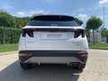 Hyundai TUCSON 3ª serie 1.6 HEV 4WD aut. Exellence Bianco - thumbnail 4