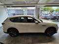 Mazda CX-60 Prime-Line PHEV 327ps 8AT AWD Weiß - thumbnail 3