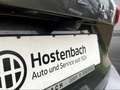 Ford Focus Turnier ST-Line 155PS Auto  Mild-Hybrid EU6d HUD N Grau - thumbnail 14