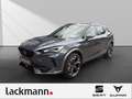 CUPRA Formentor 2.0 VZ 4Drive *Navi*Voll-LED*Winterpkt* Grau - thumbnail 1