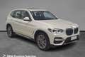 BMW X3 xDrive20d Luxury Aut. Bianco - thumbnail 3