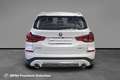 BMW X3 xDrive20d Luxury Aut. Bianco - thumbnail 6