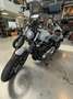 Harley-Davidson Street Bob 117 Gris - thumbnail 1