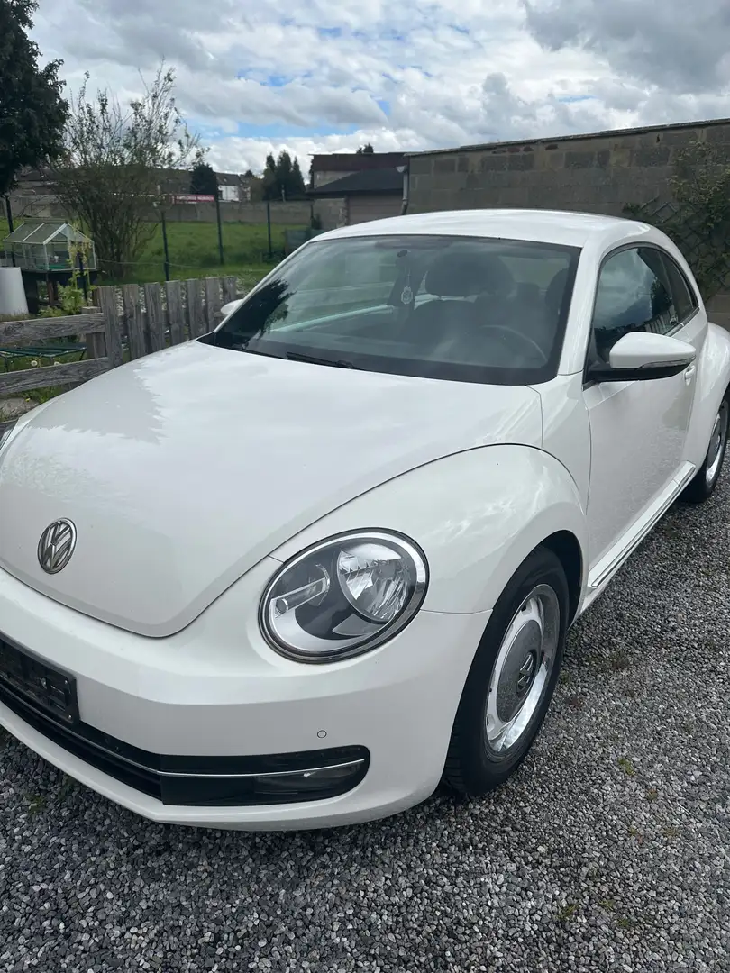 Volkswagen Beetle 1.2 TSI Blanc - 1