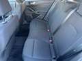 Ford Focus Titanium Edition+Navi+LED+ACC+TWA+Kamera+Allwetter Albastru - thumbnail 11
