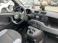 Fiat Panda Panda III 4x4 0.9 Benzina t.air 4x4 E6 Uniprop. Bianco - thumbnail 9