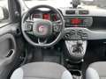 Fiat Panda Panda III 4x4 0.9 Benzina t.air 4x4 E6 Uniprop. Bianco - thumbnail 8