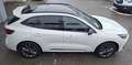 Ford Kuga 2,5 Duratec PHEV Sound Edition Aut. Weiß - thumbnail 6