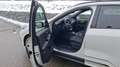 Ford Kuga 2,5 Duratec PHEV Sound Edition Aut. Weiß - thumbnail 9