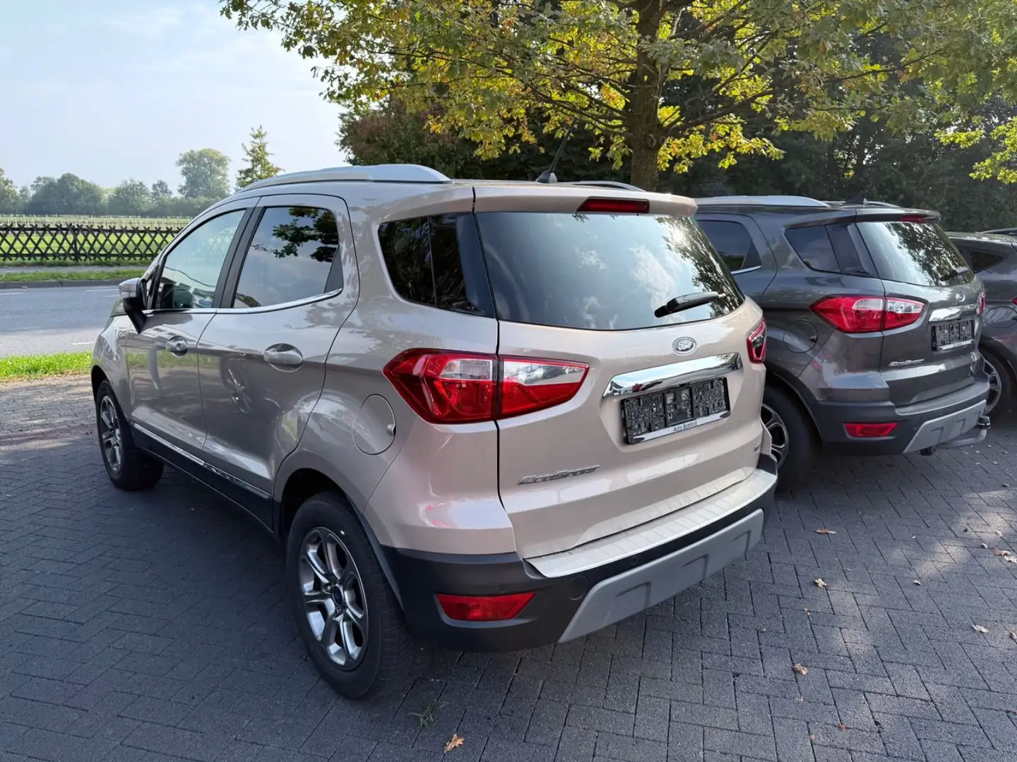 Ford EcoSport Titanium Beige - 2