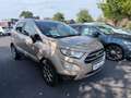 Ford EcoSport Titanium Beige - thumbnail 1