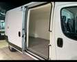 Fiat Ducato 35 3.0 CNG PM-TM Furgone 136CV 2020 *NETTO Bianco - thumbnail 12