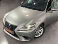 Lexus IS 300 300h Business Beige - thumbnail 8