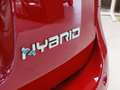 Fiat Panda 1.0 firefly hybrid KM/0 IN PRONTA CONSEGNA Rojo - thumbnail 14