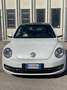 Volkswagen Beetle edizione limitata cup! anche neopatentati - thumbnail 2