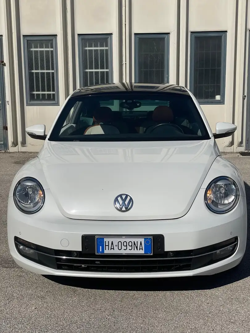 Volkswagen Beetle edizione limitata cup! anche neopatentati - 2