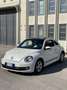 Volkswagen Beetle edizione limitata cup! anche neopatentati - thumbnail 1