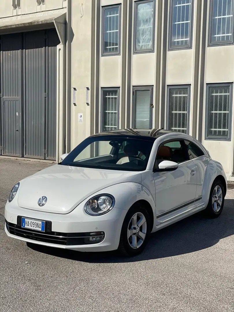 Volkswagen Beetle edizione limitata cup! anche neopatentati - 1