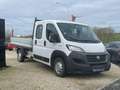 Fiat Ducato Maxi / Double cabine-7 places / 94.000 km / GPS Wit - thumbnail 2