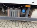 Iveco Eurocargo 75E16 /Koffer+LBW/Grüne Plaketteand Blanc - thumbnail 10