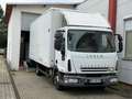 Iveco Eurocargo 75E16 /Koffer+LBW/Grüne Plaketteand Blanc - thumbnail 2