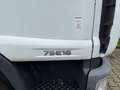 Iveco Eurocargo 75E16 /Koffer+LBW/Grüne Plaketteand Blanc - thumbnail 11