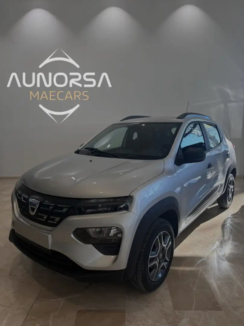 Dacia Spring Business Grijs - 1