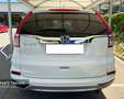 Honda CR-V 1.6i-DTEC Executive 4x4 9AT 160 Bianco - thumbnail 4