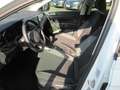 Volkswagen Polo Life 1.0 KLIMA LED GJR APS SITZHEIZUNG Blanc - thumbnail 6