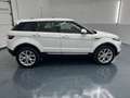 Land Rover Range Rover Evoque HSE 2,0 TD4 Aut.  * SOFORT FINANZIERUNG & EINTA... Weiß - thumbnail 6