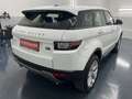 Land Rover Range Rover Evoque HSE 2,0 TD4 Aut.  * SOFORT FINANZIERUNG & EINTA... Weiß - thumbnail 5