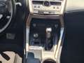Lexus NX 300 300h 2.5 Business 4wd cvt Bianco - thumbnail 12