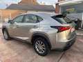 Lexus NX 300h 300h AWD 2,5 hybrid 197cv 4x4 - thumbnail 3