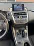 Lexus NX 300h 300h AWD 2,5 hybrid 197cv 4x4 - thumbnail 8