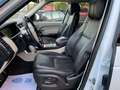 Land Rover Range Rover 4.4SDV8 Vogue Aut. Blanc - thumbnail 9