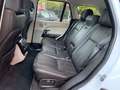 Land Rover Range Rover 4.4SDV8 Vogue Aut. Blanc - thumbnail 11