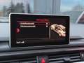 Audi A5 40TDI|sport|Pano|Leder|Navi|360G|LED|Schalensitze Weiß - thumbnail 31
