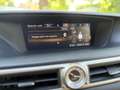 Lexus GS 300 Luxury Line 300h - LEDER - Memory - LED - Zeer com Grau - thumbnail 26