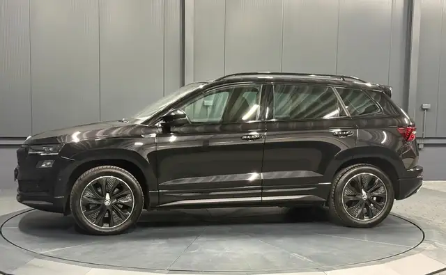 Skoda Karoq view 3