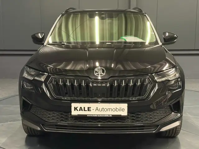 Skoda Karoq view 10