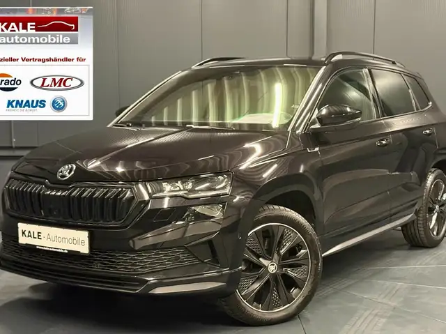 Skoda Karoq main image