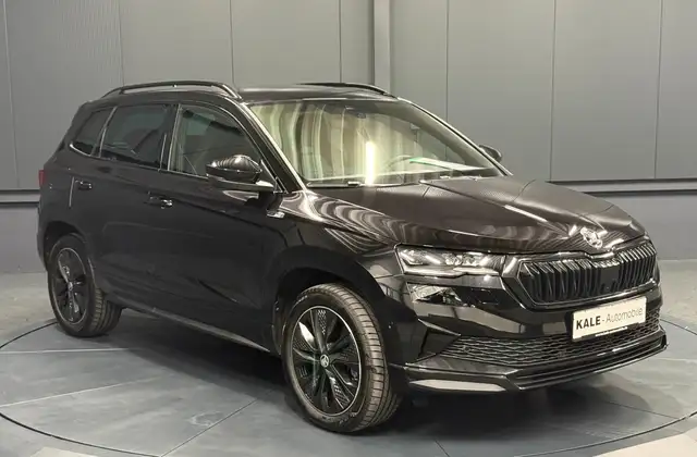 Skoda Karoq view 9