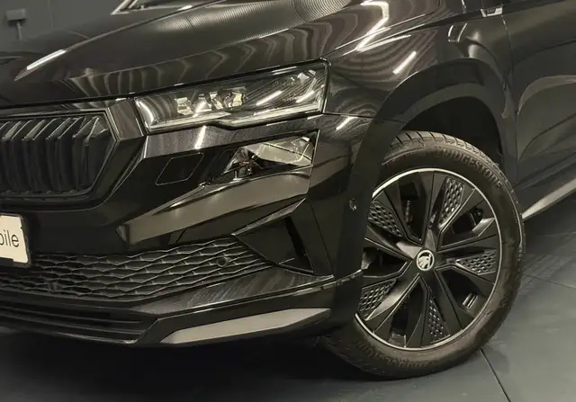 Skoda Karoq view 2