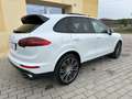 Porsche Cayenne Cayenne 3.0 Platinum Edition tiptronic Bianco - thumbnail 3