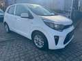 Kia Picanto *AUTOMATIK*KAMERA*2xPDC*1.HAND Bianco - thumbnail 4