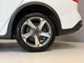 Ford Focus Wagon 1.0 EcoBoost Hybrid Active X Nwe Koppeling|H Blanc - thumbnail 11