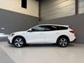 Ford Focus Wagon 1.0 EcoBoost Hybrid Active X Nwe Koppeling|H Blanc - thumbnail 6