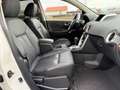 Renault Koleos 2.0 dCi 4x4 Dynamique *1.HAND+AUTOMATIK* Weiß - thumbnail 10